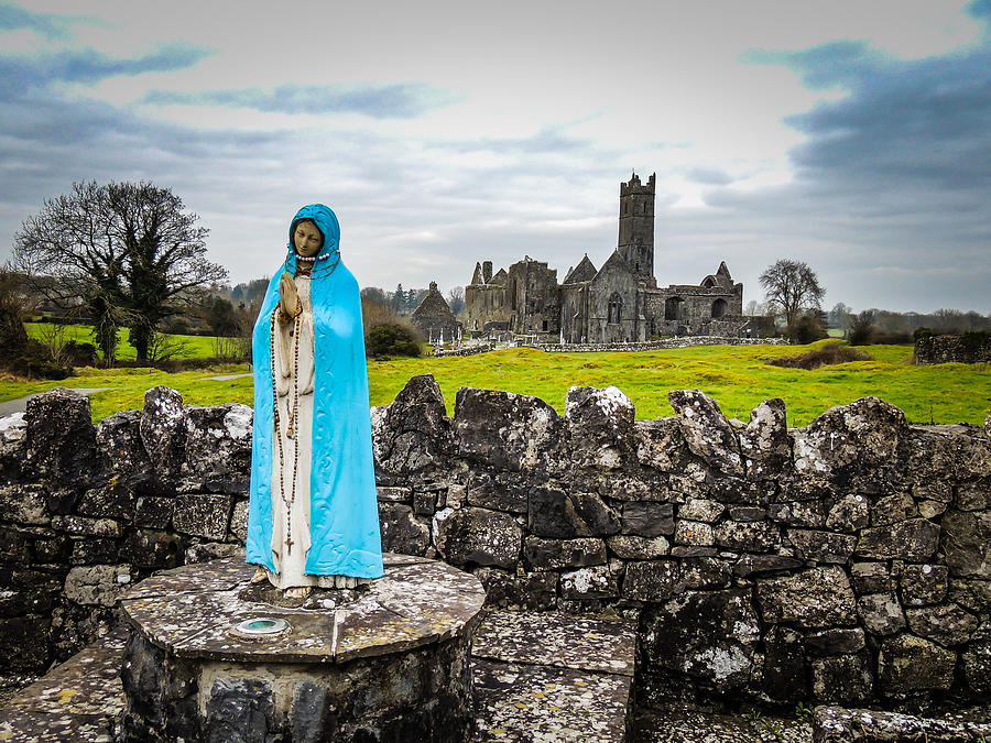 Architecture Photograph - Official Greeter at Irelands Quin Abbey National Monument by James Truett