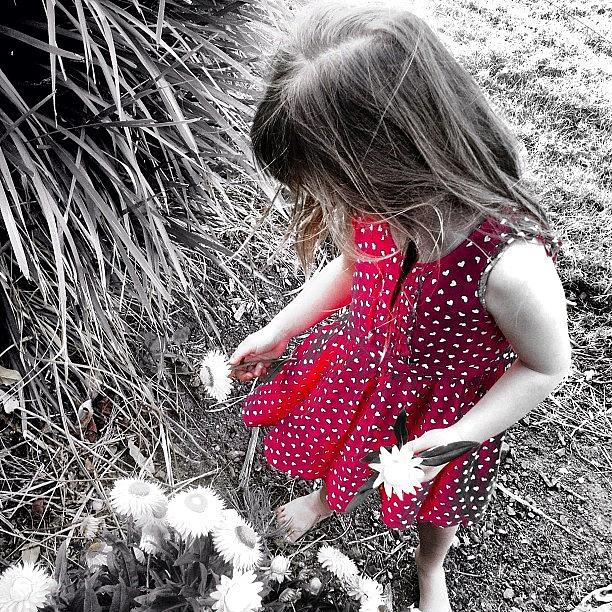 Farm Photograph - #offspring #daughter # Childsplay #kids by Shayle Graham