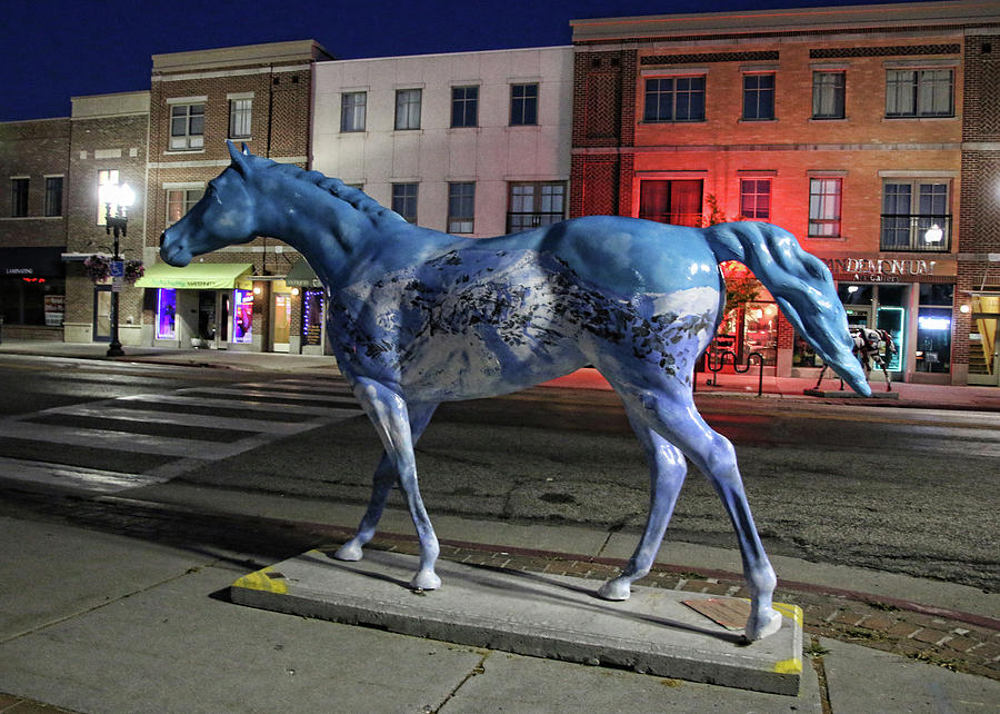 Ogden Horse 16 Photograph by Ely Arsha