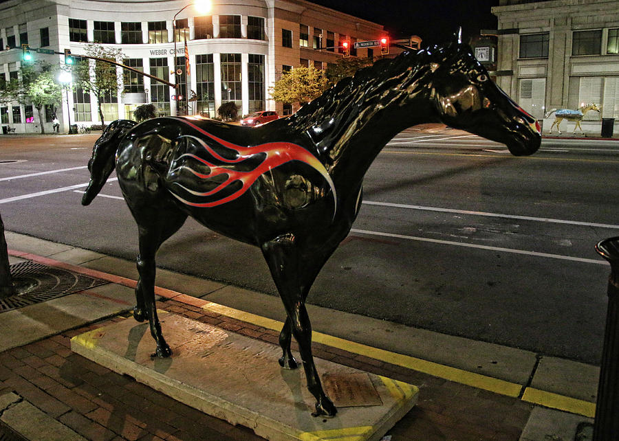 Ogden Horse 17 Photograph by Ely Arsha