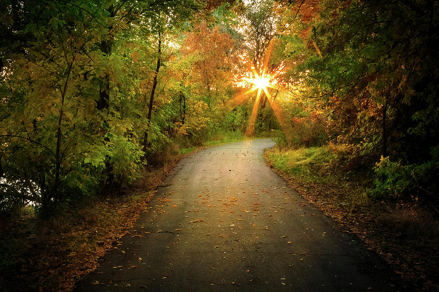 Ogden River Parkway Photograph by Gina Gardner | Fine Art America