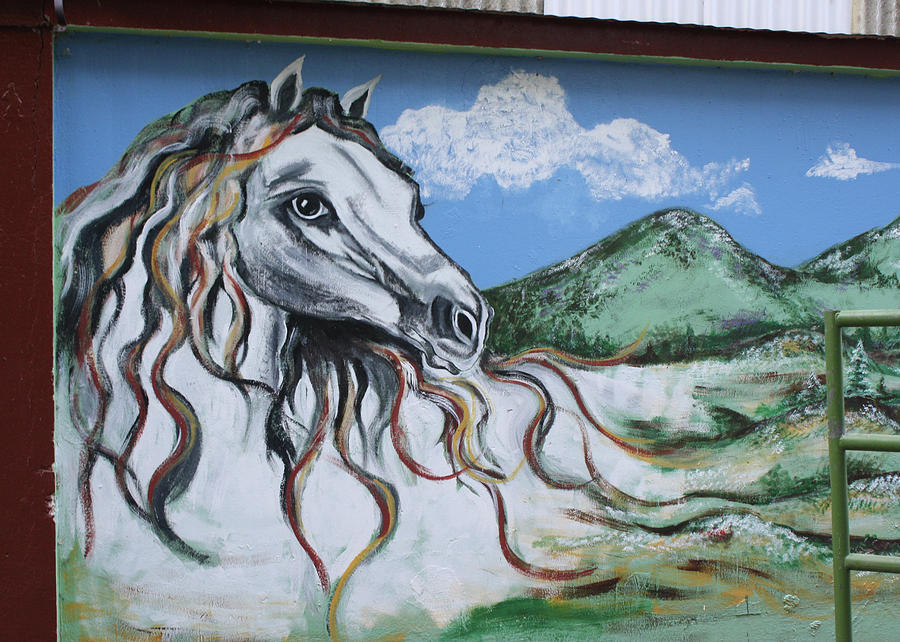 Ogden Utah Horse Mural Photograph by Ely Arsha