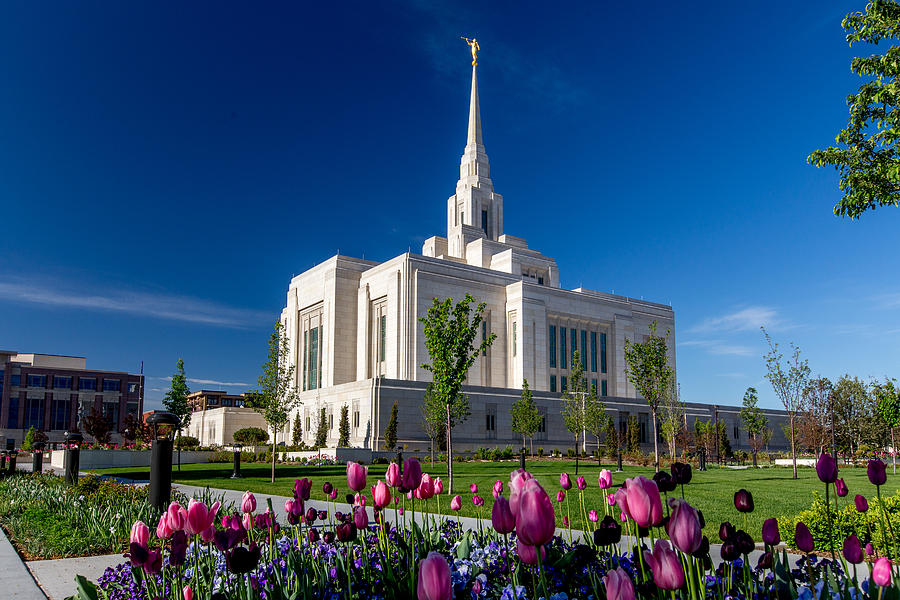 Ogden Utah LDS Temple Spring #1 Photograph by Scott Law
