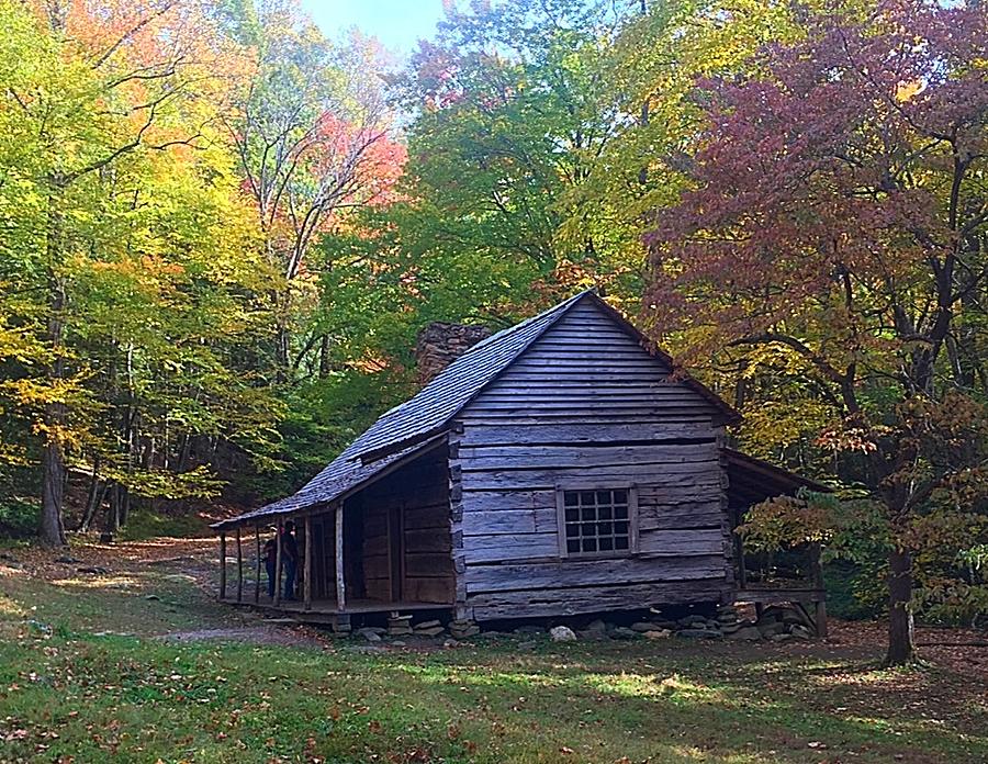 Ogle Cabin Photograph by Kim Taylor | Fine Art America