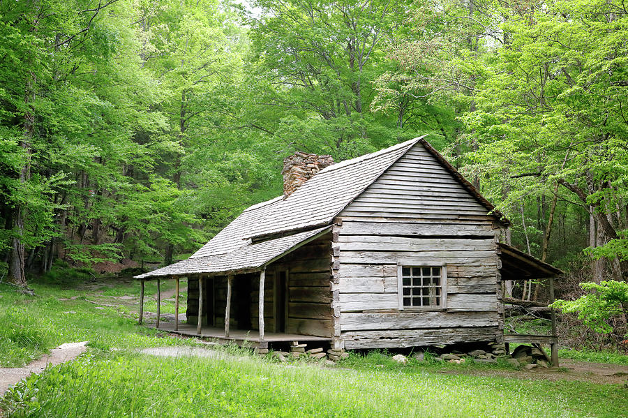 Ogle Cabin Photograph by Nicholas Blackwell