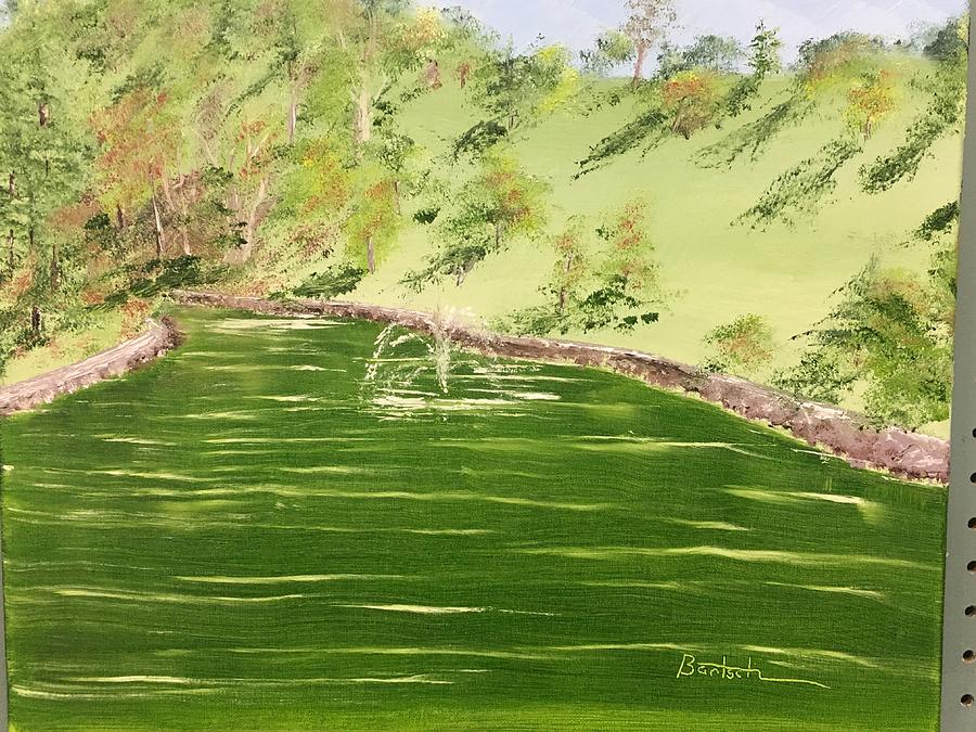 Oglebay Parks Schenk Lake Painting by David Bartsch