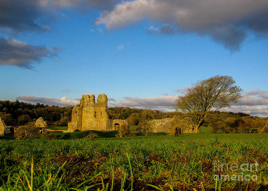 Ogmore Castle Photograph by SnapHound Photography