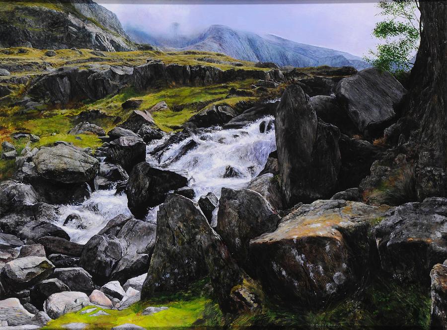 Tree Painting - Ogwen Rock Waterfall by Harry Robertson
