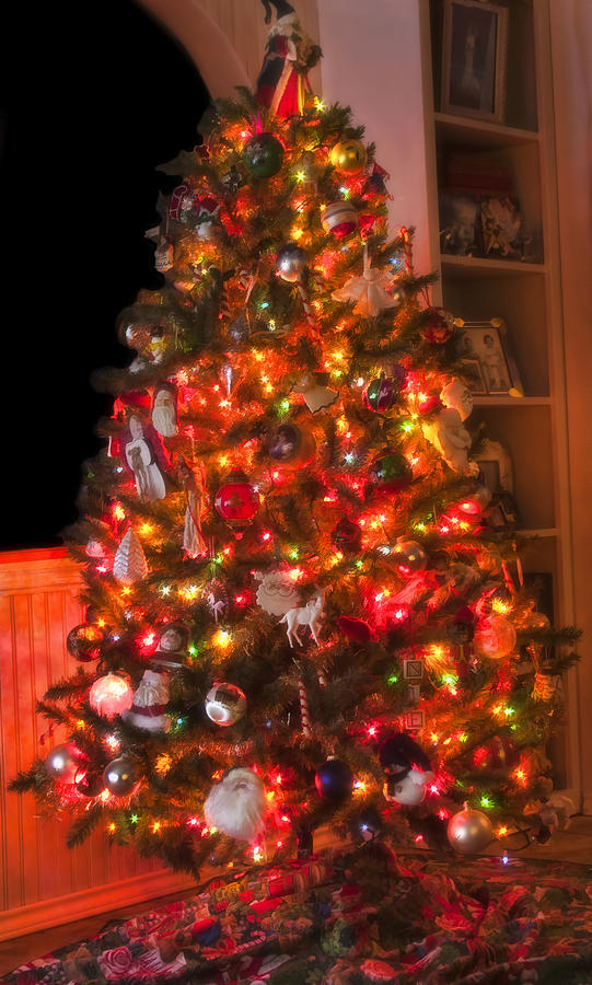 Oh Christmas Tree Photograph by Joan Bertucci
