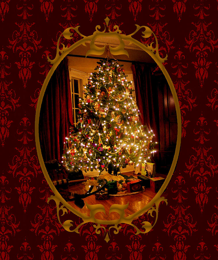 Oh Christmas Tree Photograph by Susan Vineyard