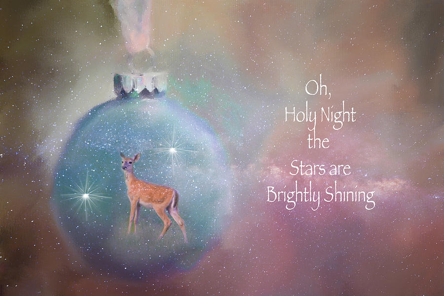 Oh, Holy Night Photograph by Lynn Bauer