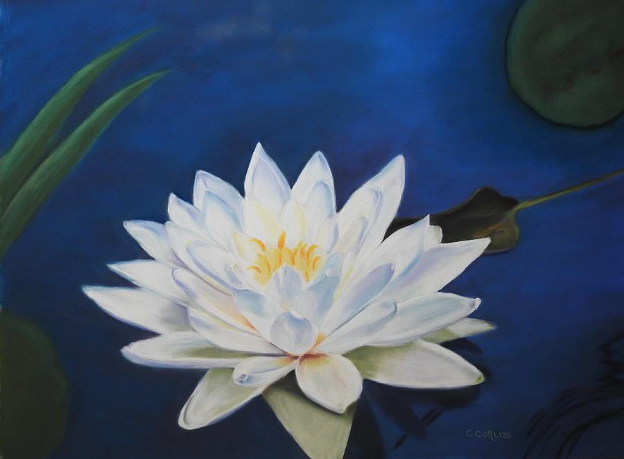 Oh Lily Pastel by Carol Corliss