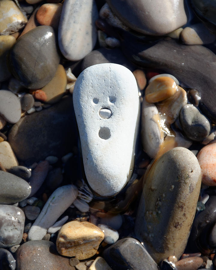 Oh No -- Stone on a California Beach Photograph by Darin Volpe