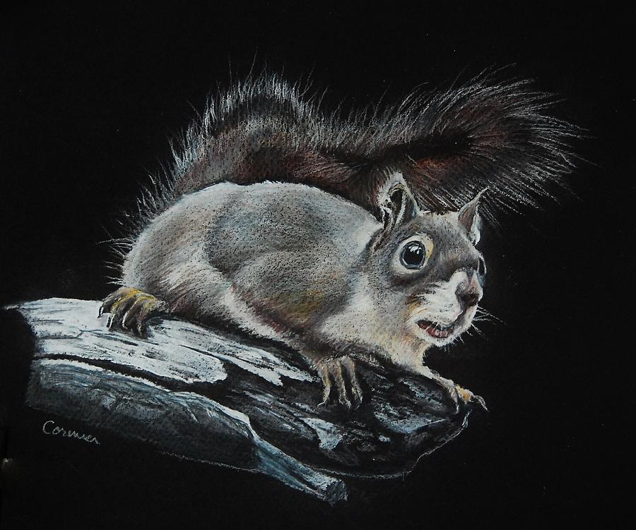 Oh Nuts  Drawing by Jean Cormier