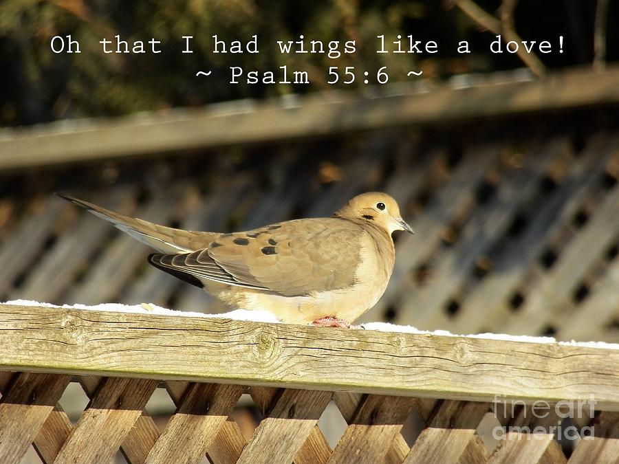 Oh That I Had Wings Like a Dove Photograph by Corinne Elizabeth Cowherd