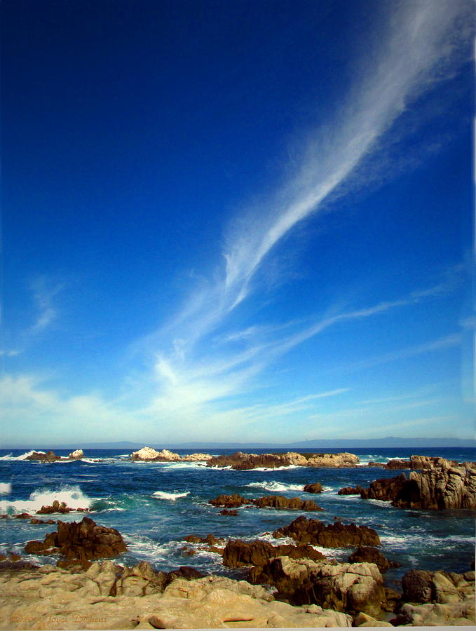 Oh The Beauty  Monterey Peninsula CA  Photograph by Joyce Dickens
