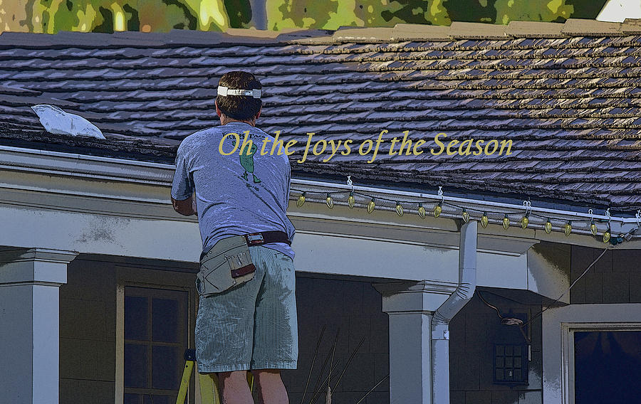 Oh the Joys of the Season Photograph by Linda Brody