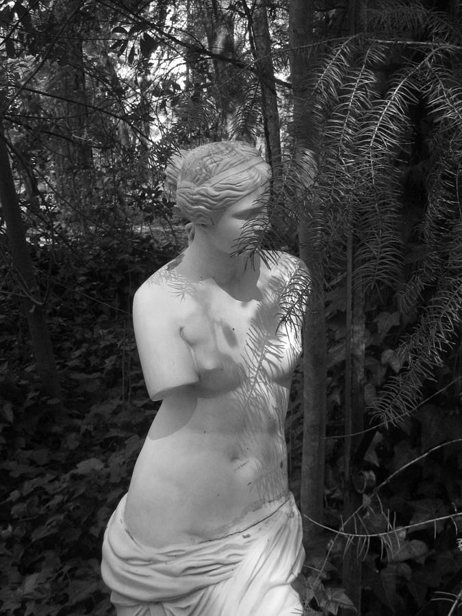 Oh Venus Photograph by Marie Neder