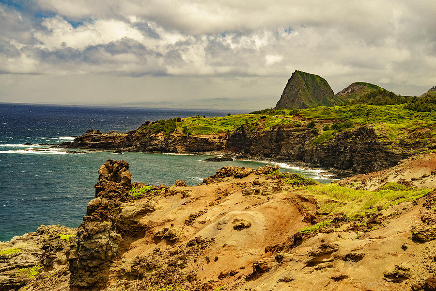 Ohai Trail, Maui Photograph by Janis Knight
