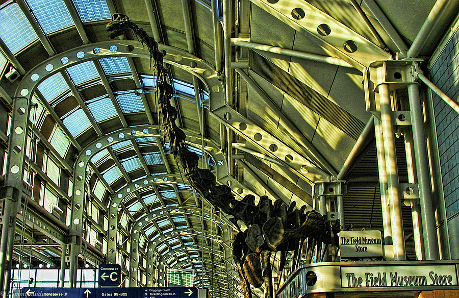 Chicago Photograph - OHare International Airport  by Tommy Anderson