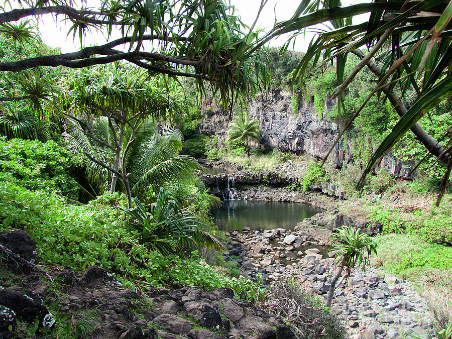 Oheo Lower Pool, Maui Photograph by Phil Welsher