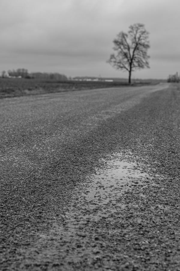 Ohio Backroad in Black and White  Photograph by John McGraw