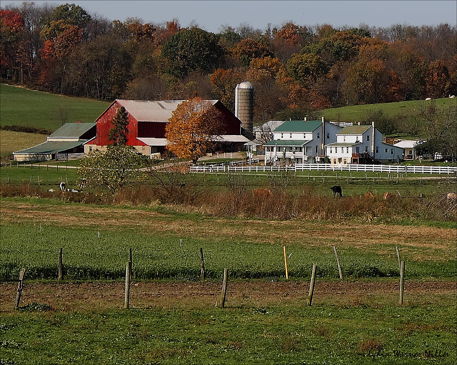 Ohio Barn 34 Photograph by Lydia Miller - Fine Art America