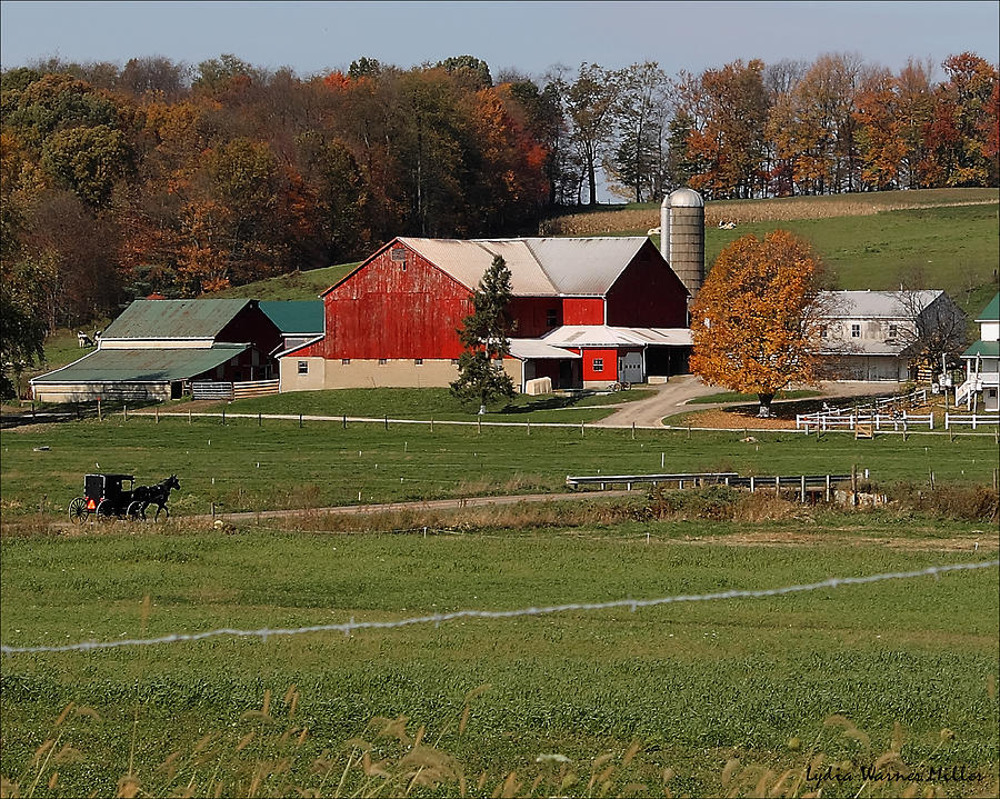 Ohio Barn 36 Photograph By Lydia Miller