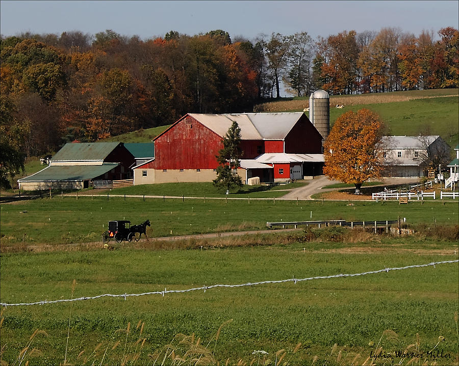 Ohio Barn 37 Photograph by Lydia Miller | Fine Art America