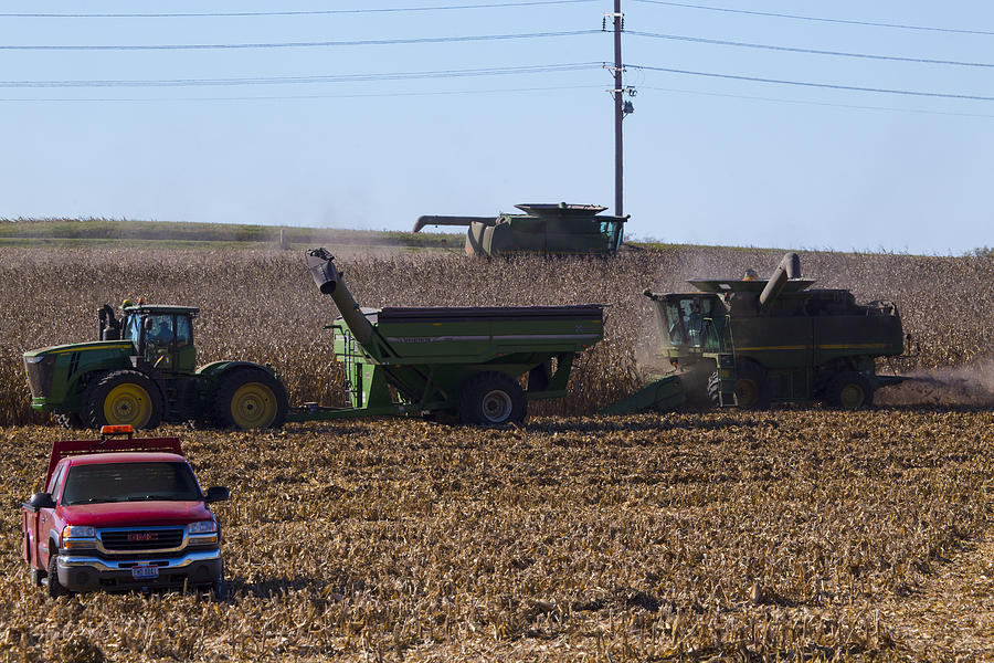 Ohio Corn Harvest Photograph by Jeff Roney Fine Art America