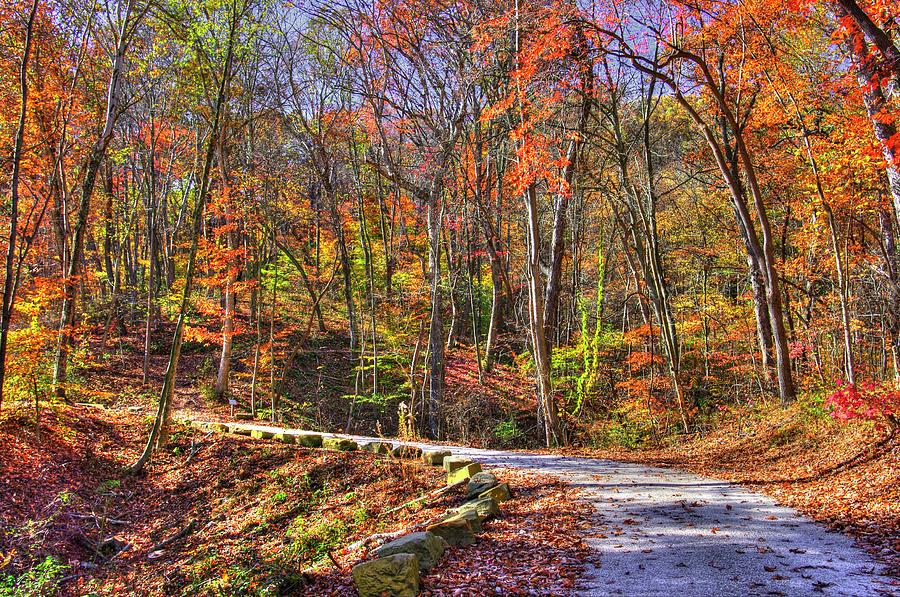 Ohio Country Roads - Autumn Colorfest #4 - Charles Alley Nature Park No. 1A - Fairfield County Photograph by Michael Mazaika