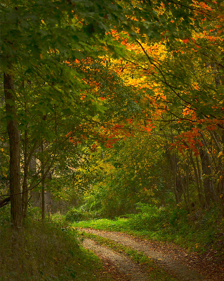 Ohio Driveway Photograph by Pam Kaster