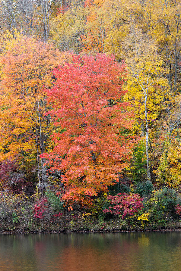 Ohio Fall Photograph by Lorraine Baum