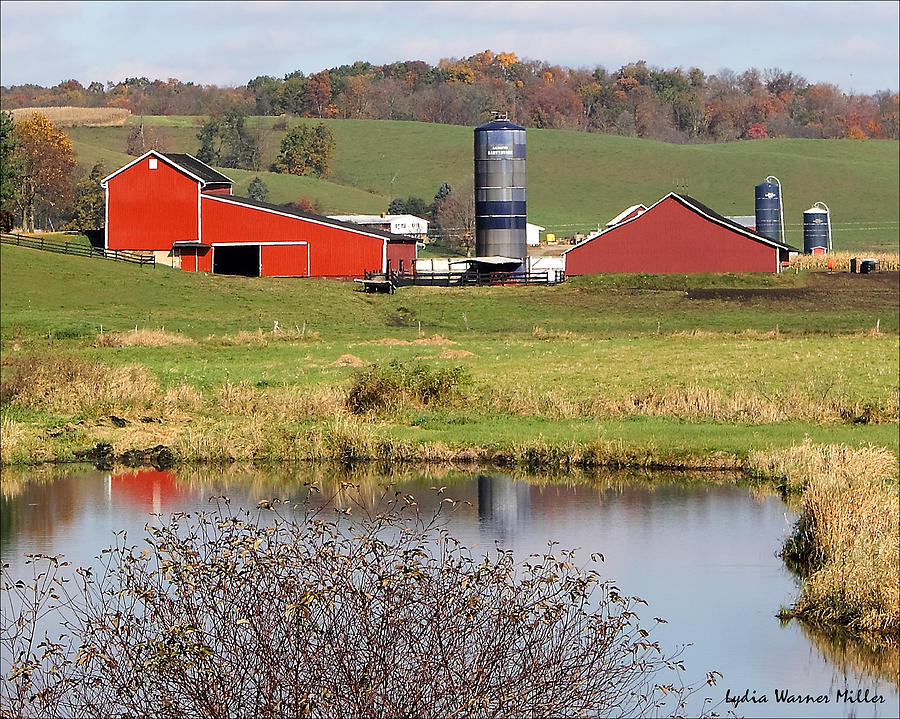 Ohio Farm 1 Photograph by Lydia Miller