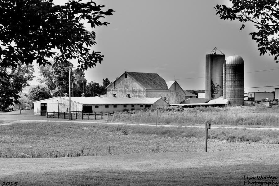 Tree Photograph - Ohio Farm House Black and White by Lisa Wooten