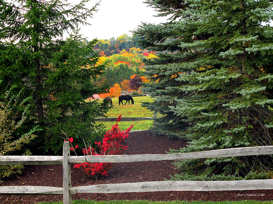 Ohio Farm In Autumn Photograph