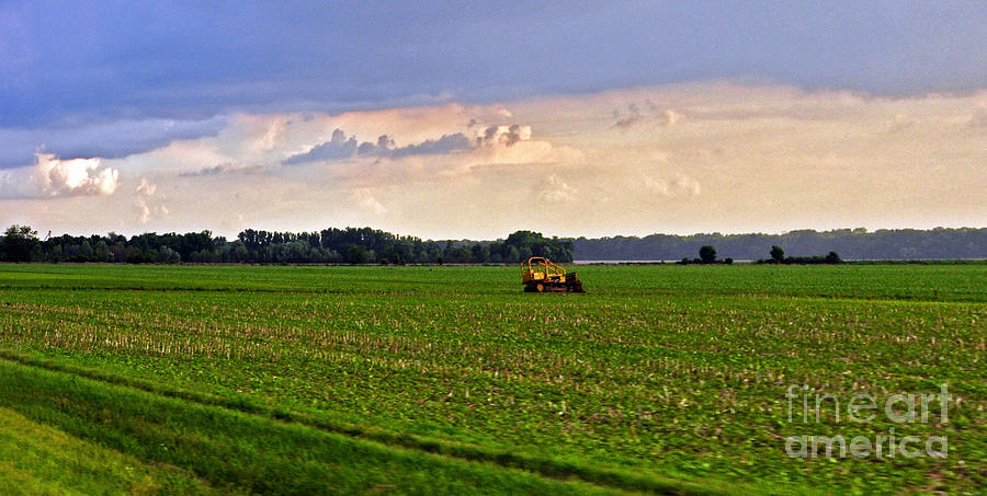Ohio Farmland  Photograph by Lydia Holly