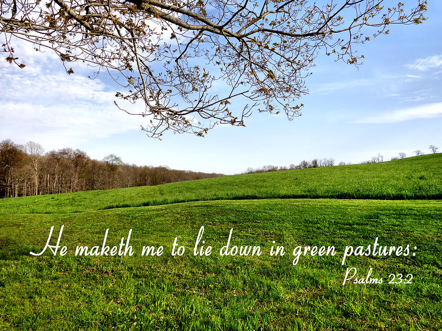 Ohio Green Pastures Psalms  Photograph by Kathy K McClellan