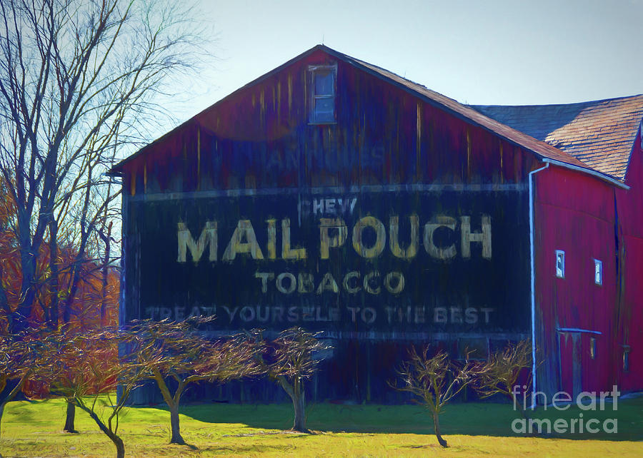 Ohio Mail Pouch Tobacco Barn Photograph by Janice Pariza