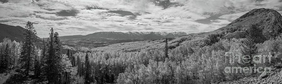 Ohio Pass Road Overlook BW Photograph by Michael Ver Sprill