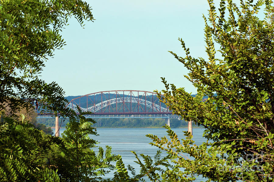 Ohio River Bridges Photograph by Bob Phillips