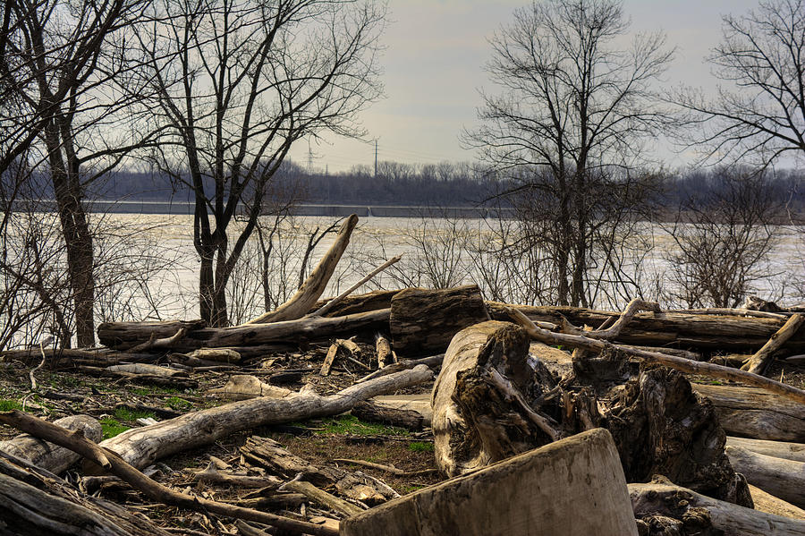 Ohio River Driftwood Photograph by FineArtRoyal Joshua Mimbs