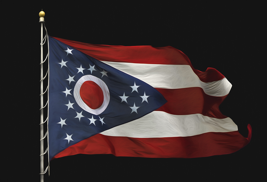 Ohio State Flag Photograph by Steven Michael