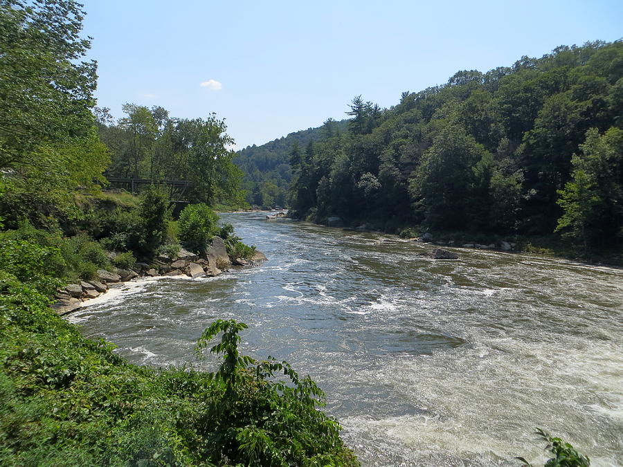 Ohiopyle State Park Photograph by Cindy Kellogg - Fine Art America