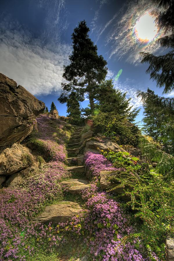 Ohme Gardens Photograph by Brad Granger