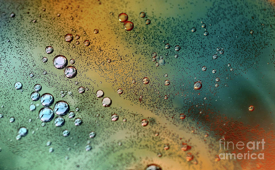 Oil and Water  Bubbles Photograph by Elaine Manley
