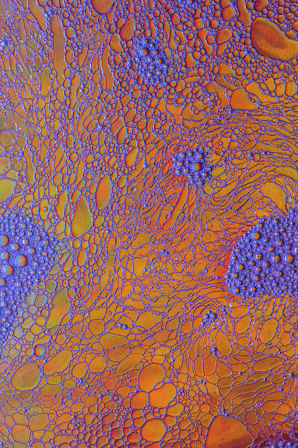 Oil and Water Grape design Photograph by Bruce Pritchett