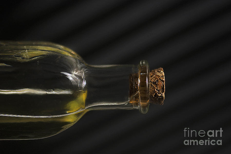 Oil Bottle Cork 1092A Photograph by Steve Somerville