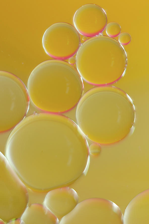 Oil bubbles on water abstract Photograph by Andy Myatt