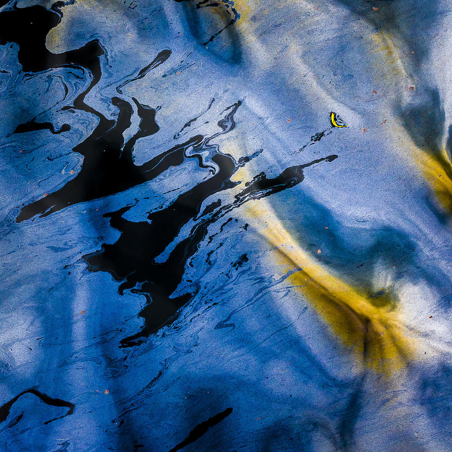Oil On Water Photograph by Elmer Jensen